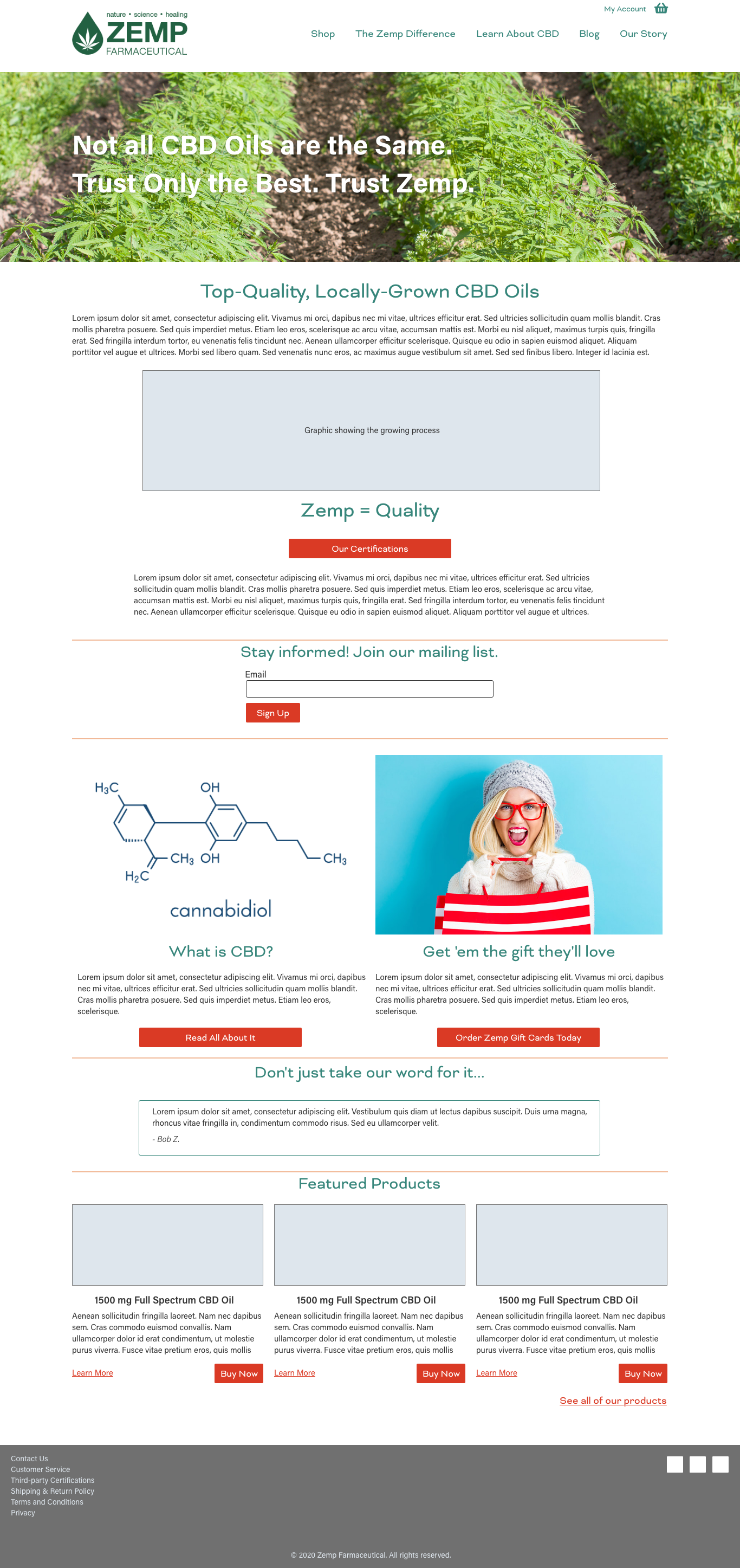 Zemp Farmaceutical website homepage design.